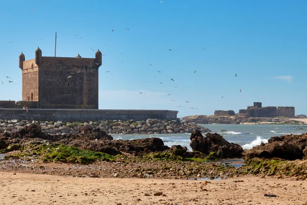 Puerto Scala Con Detrás Las Ruinas Fuerte Pequeña Isla Essaouira —  Fotos de Stock