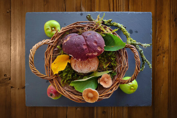 Wicker basket on a slate tray with on it's middle, a Boletus surrounded by some mushrooms, leaves and apples.