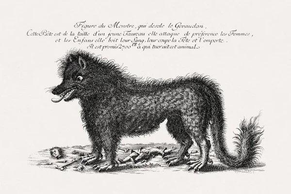 Illustration Depicting Beast Gevaudan Copper Engraving Dating 1764 Facts Offers — Stock Photo, Image