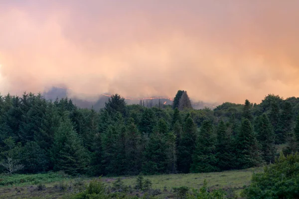 Feu Son Énorme Nuage Fumée Dessus Cime Des Arbres Dans — Photo