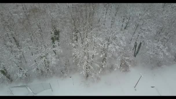Aerial View Snow Covered Woodland — Stockvideo