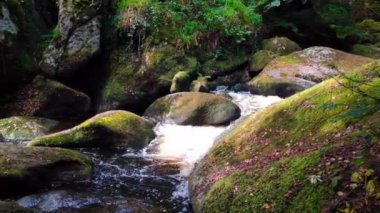 Small rapids on the Riviere d'Argent (Silver River) between the Gouffre (Chasm) and the Mare aux fees (Fairies' pond) in the forest  of Huelgoat.