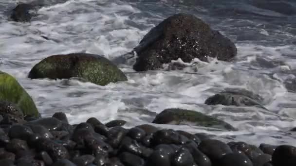 Sahildeki Reunion Adası Açıklarında Çakıl Taşlı Bir Sahile Vuran Dalgalar — Stok video