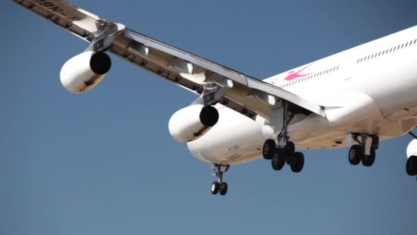 Commercial Plane Landing Rolland Garros Airport Reunion Island — Wideo stockowe