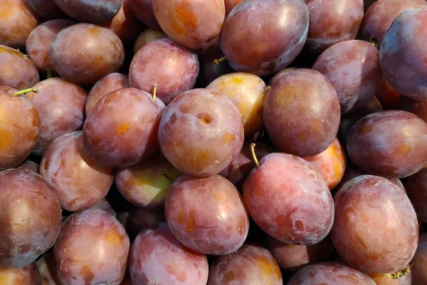 Primo Piano Una Pila Prugne Rosse Una Bancarella Mercato — Foto Stock