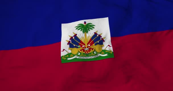 Primer Plano Completo Bandera Haití Renderizado — Vídeo de stock