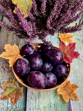 Taze erikler ve funda çiçekleri. Eski bir arka planda sonbahar yaprakları. Üst görünüm.