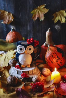 Baykuş şeklinde bir kupa. Sonbahar, balkabakları, viburum, fındık, sonbahar yaprakları ve bir mumla sakin bir hayat. Karanlık bir arka planda. Yakın çekim görünümü.