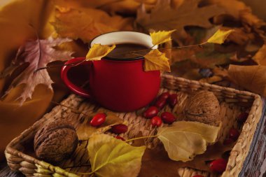 Kırmızı kahve ve sarı sonbahar yaprakları. Kırmızı köpek gülü ve fındıklarla dolu bir hayat..