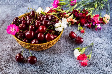 Pipet tabakta taze kırmızı kirazlar. Masada duran karanfil çiçekleri ve böğürtlenler. Yukarıdan bak. Yaz hala hayat
