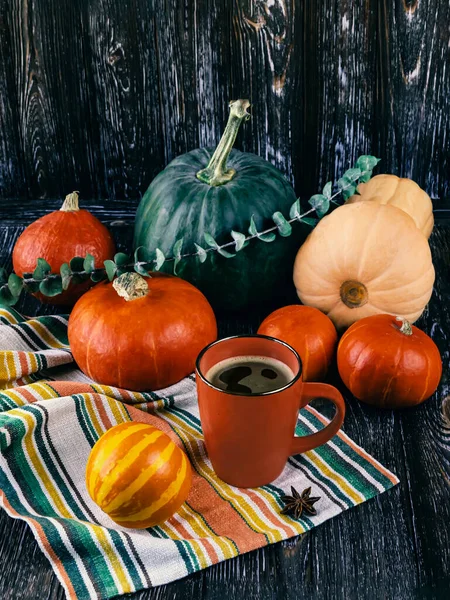 Herfst Compositie Met Groene Oranje Pompoenen Een Oranje Kopje Koffie — Stockfoto
