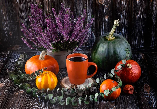 秋天的组成与绿色和橙色南瓜 橙色杯咖啡 石南和桉树 在深色背景的条纹毛巾上的蔬菜 侧视图 — 图库照片