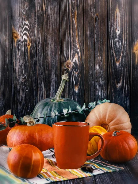 Σύνθεση Φθινοπώρου Πράσινες Και Πορτοκαλί Κολοκύθες Ένα Πορτοκαλί Φλιτζάνι Καφέ — Φωτογραφία Αρχείου