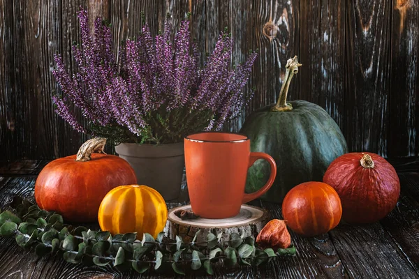Höstens Sammansättning Med Gröna Och Orange Pumpor Apelsinkopp Kaffe Ljung — Stockfoto