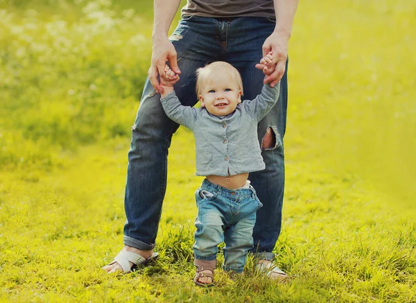 Ojciec Trzyma Ręce Dziecko Uczy Chodzić Trawie Letni Dzień — Zdjęcie stockowe