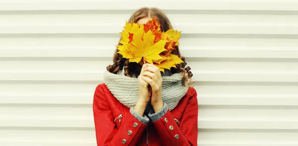 Portrait Young Woman Covering Her Face Yellow Maple Leaves Wearing — Stock Photo, Image