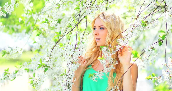 白い花の背景に春の庭で美しいブロンドの若い女性の肖像画 ストック写真