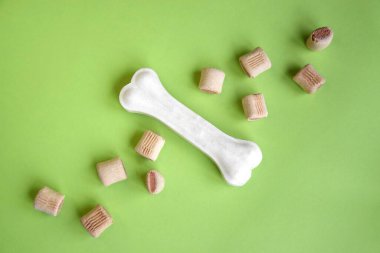 Açık yeşil arka plandaki köpekler için tedavi. Evcil hayvan aşılama, bakım ve eğitimin önemi kavramı.