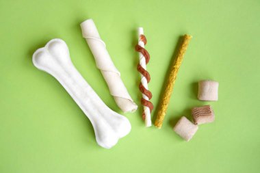 Açık yeşil arka plandaki köpekler için tedavi. Evcil hayvan aşılama, bakım ve eğitimin önemi kavramı.