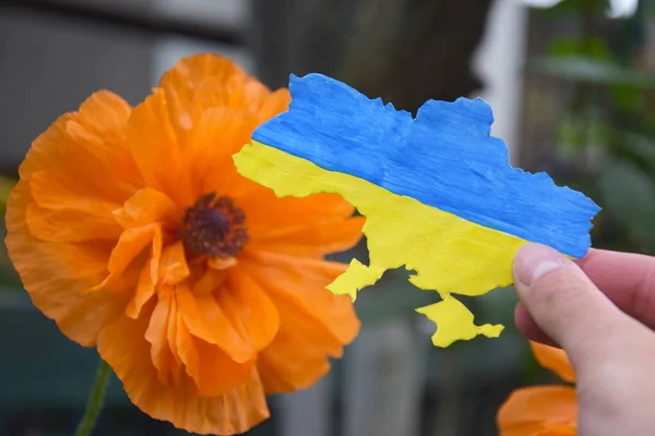 A woman holds in her hands the outline of the country Ukraine, decorated as the national flag of Ukraine on the background of a poppy. Constitution Day, National holiday. War in Ukraine.