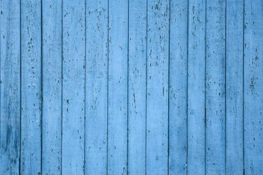 The blue wood background, old wooden wall, painted texture.