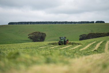 Avustralya 'da ot ve bitki yetiştirme ve yetiştirme. Yaz boyunca bir sığır çiftliğinde traktörler ve makinelerle..