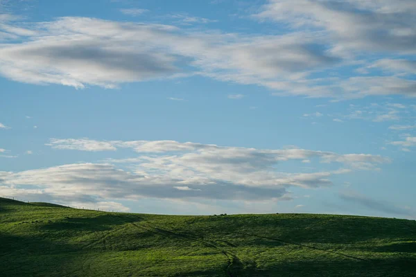 オーストラリアでは 畑で丘陵や牛を転がす牧場の農業風景 牧草地で美しい緑の草や脂肪牛や牛の放牧 — ストック写真