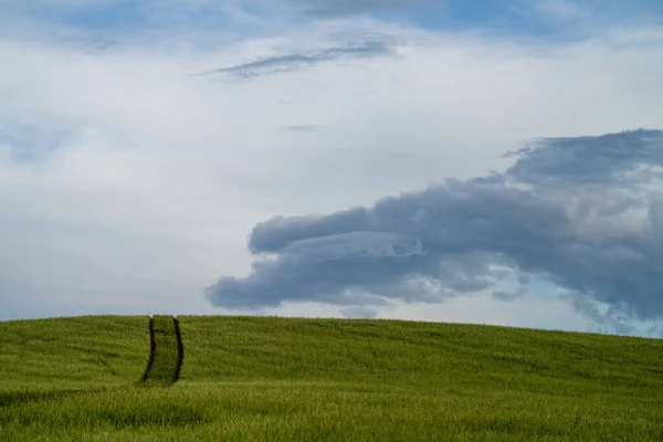 Cattle Ranch Farming Landscape Rolling Hills Cows Fields Australia Beautiful — Stock Photo, Image