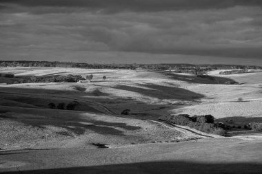 Avustralya 'da sığır çiftliği arazisi, yuvarlanan tepeler ve tarlalarda inekler. Güzel yeşil çimenler, şişman inekler ve otlayan boğalar..