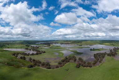 Avustralya 'da bir çiftlikte, taşan bir nehrin insansız hava aracı görüntüsü..