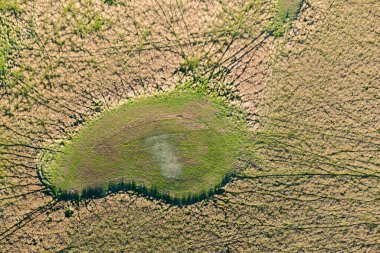 Avustralya 'da bir çiftlikte, taşan bir nehrin insansız hava aracı görüntüsü..