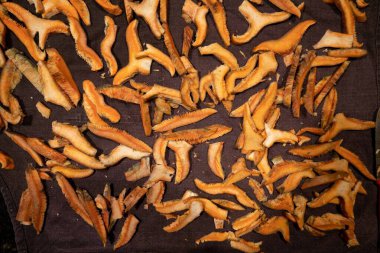 Avustralya 'da otlanan sığır ve buzağılar. Saman ve tohum yiyorlar. Türleri arasında benekli park, murray grisi, angus, brangus ve süt inekleri yer almaktadır..