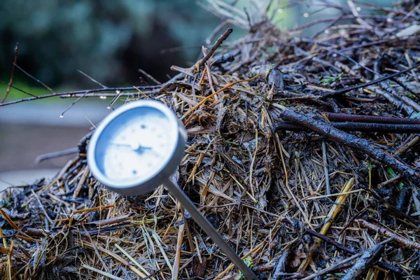 Comprobar Temperatura Una Pila Compost Una Granja —  Fotos de Stock