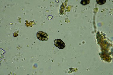 soyut arkaplan, boşluk duvar kağıdını kopyala, 3d illüstrasyon