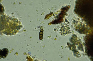 Su damlalarının soyut arkaplanı