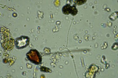 Bardağa su damlatıyor.