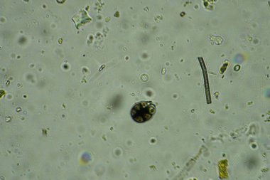 Renklerin, dokuların ve ilginç desenlerin mükemmel bir karışımına sahip soyut bir arkaplan