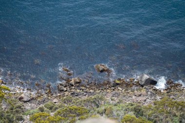Avustralya 'da okyanus ve suyun yanındaki sahil ve sahile bakıyorum.