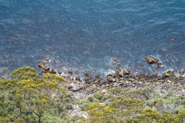Avustralya 'da okyanus ve suyun yanındaki sahil ve sahile bakıyorum.