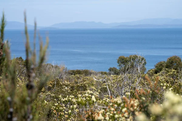 Avustralya 'da okyanus ve suyun yanındaki sahil ve sahile bakıyorum.