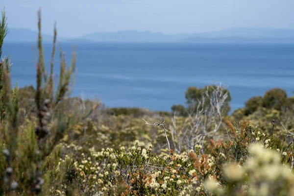 Avustralya 'da okyanus ve suyun yanındaki sahil ve sahile bakıyorum.