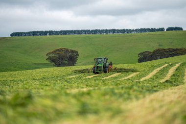 Avustralya 'da ot ve bitki yetiştirme ve yetiştirme. Yaz boyunca bir sığır çiftliğinde traktörler ve makinelerle..