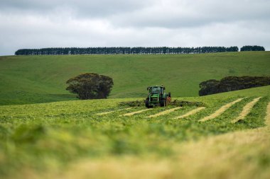 Avustralya 'da ot ve bitki yetiştirme ve yetiştirme. Yaz boyunca bir sığır çiftliğinde traktörler ve makinelerle..