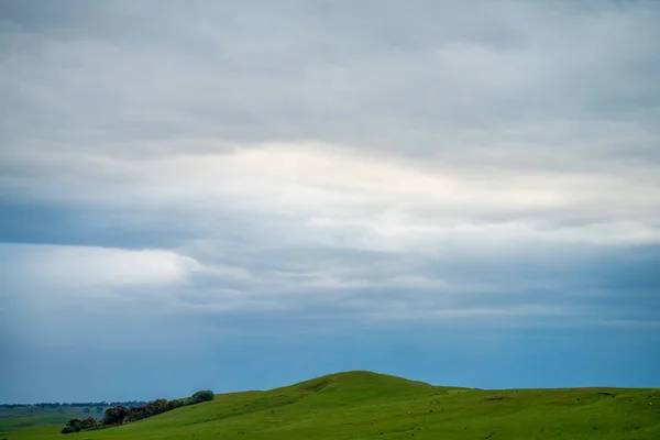 Cattle Ranch Farming Landscape Rolling Hills Cows Fields Australia Beautiful — Stock Photo, Image