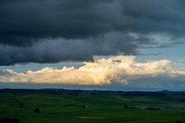 Avustralya 'da sığır çiftliği arazisi, yuvarlanan tepeler ve tarlalarda inekler. Güzel yeşil çimenler, şişman inekler ve otlayan boğalar..
