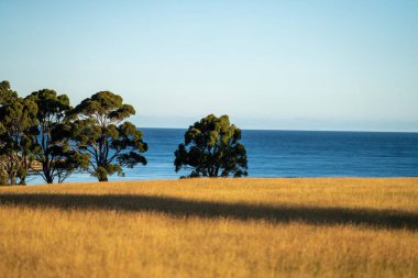 Güzel deniz manzarası ve kumsal.