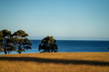 Güzel deniz manzarası ve kumsal.