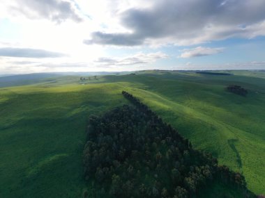 Yeşil çimenlerle ve bulutlu gökyüzüyle güzel bir manzara.