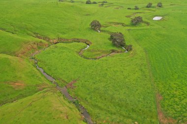 Arkaplanda yeşil tarlaların ve ormanların hava görüntüsü