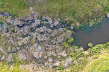 İnsansız hava aracı Avustralya 'da sığır çiftliği üzerinde uçuyor.